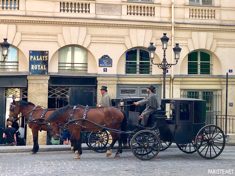 Palais Royal Pariste.Net
