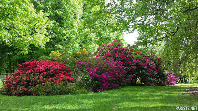 Parc Paris Botanik Bahçesi - Floral de Paris Pariste.Net