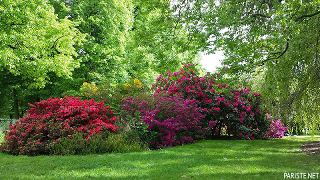 Parc Paris Botanik Bahçesi - Floral de Paris Pariste.Net Parc Paris Botanik Bahçesi - Floral de Paris Pariste.Net