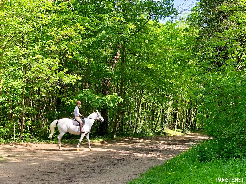 Vincennes OrmanI - Bois de Vincennes Pariste.Net