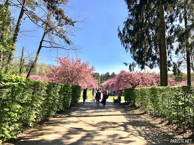 Sceaux Parkı - Parc de Sceaux Pariste.Net