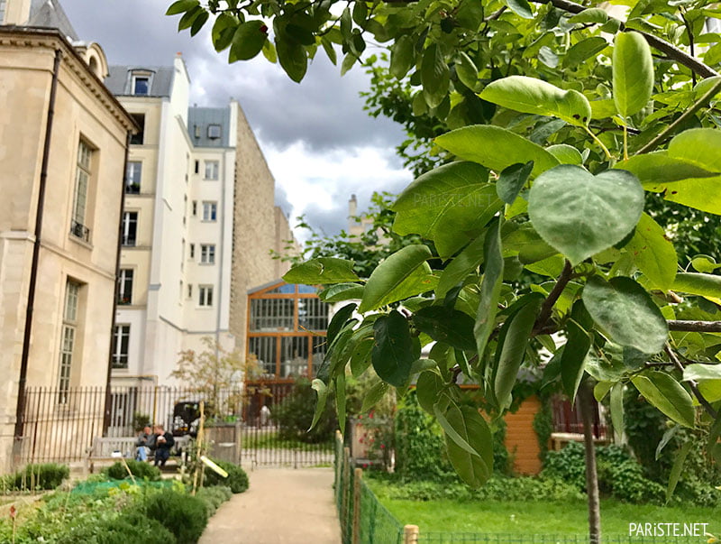 Jardin des Rosiers Le Marais Paris Pariste.Net