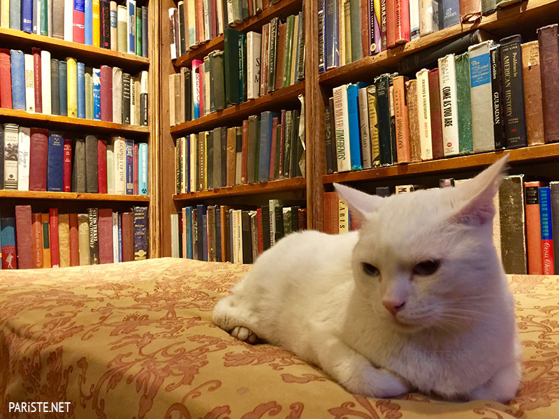 Shakespeare and Company Book Store Paris Pariste.Net