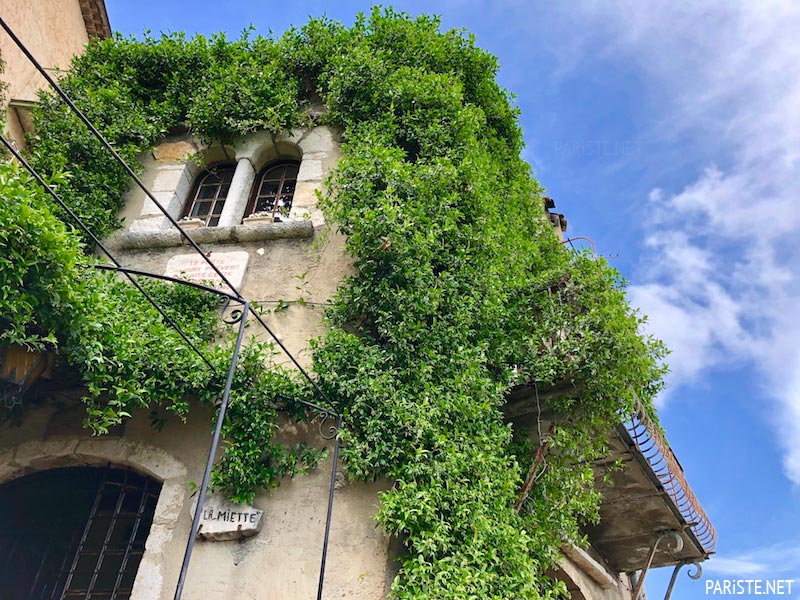 Saint Paul de Vence - Côte d'Azur Rehberi Pariste.Net